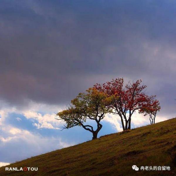 「青未了」冉令傑|南井,那一抹血紅的曙色 「青未了」冉令傑|南井,那一抹血紅的曙色