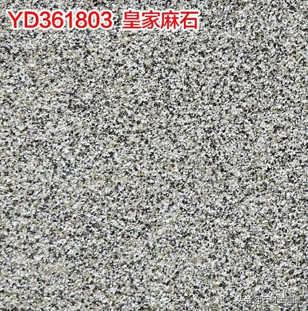 生態地鋪石欣賞