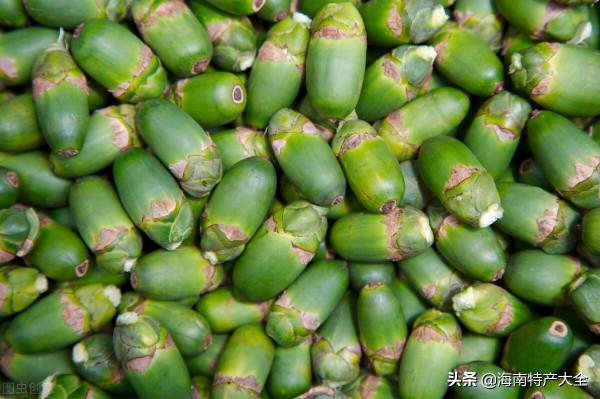 海南檳榔青果收購價格行情(2021年9月18日) 海南檳榔青果收購價格行情(2021年9月18日)