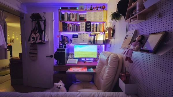 獨居6年，不想結婚，她把全屋擺滿各種綠植，意外收穫五千人關注