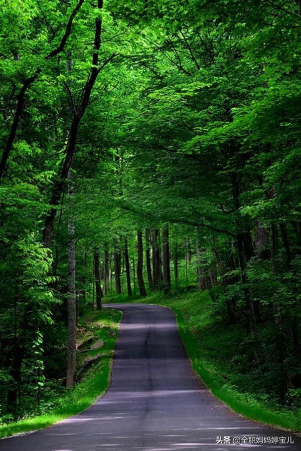 分享——美景小道