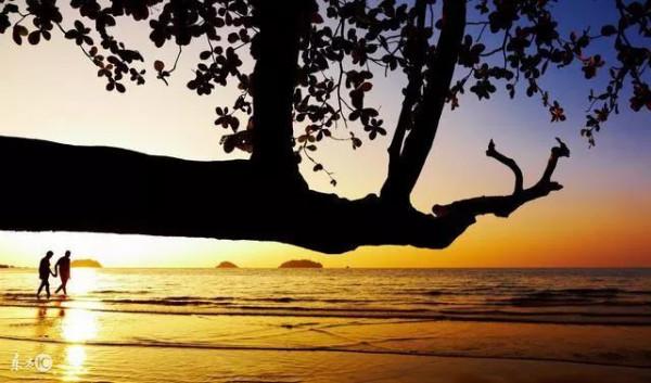 苦命李嫂的黃昏戀 苦命李嫂的黃昏戀