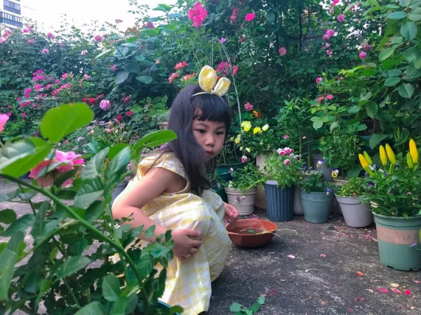 （2019）園丁獎露臺組《003號》一卷花薔 沉澱的時光