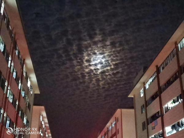 摩羯座本週工作運勢和財運運勢