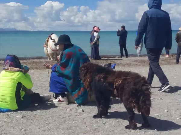 靈魂之旅—西藏遊