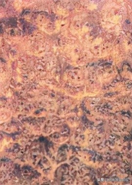 如何辨識明代傢俱木材新解全集(傢俱14) 如何辨識明代傢俱木材新解全集(傢俱14)