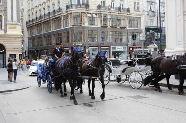維也納之旅 維也納之旅