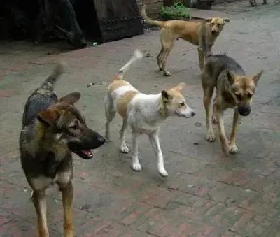 50張照片記錄著最真實的農村生活,這才是我們最深刻的回憶 50張照片記錄著最真實的農村生活,這才是我們最深刻的回憶