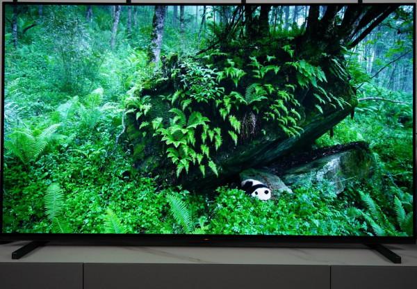 最適合有娃和影視一族的OLED電視Sony65A80J 最適合有娃和影視一族的OLED電視Sony65A80J