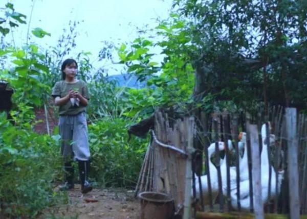 李子柒傳播的十大東方文化十首詩（前五），她與薇婭你更喜歡誰？