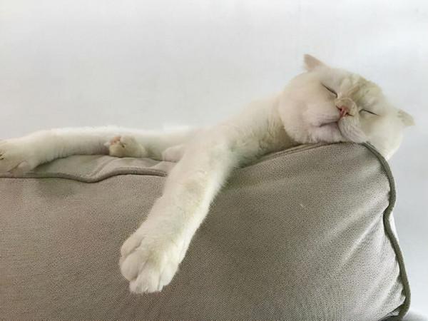 大四學子日記，打卡第三天