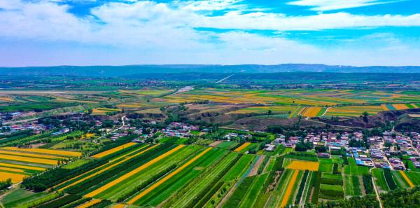 組圖 | 六盤山下好風光——夏日田園美景如畫 組圖 | 六盤山下好風光——夏日田園美景如畫