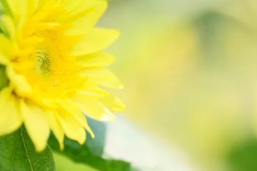 福，在心不在物；命，在人不在天