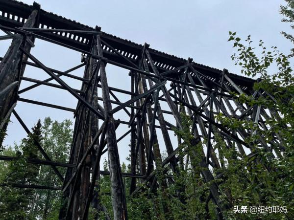 2021 阿拉斯加自駕遊（10）荒野外的荒野Wrangell國家公園