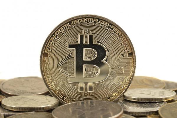 零售巨頭newegg宣佈:將從“12月初”開始接受柴犬支付 零售巨頭newegg宣佈:將從“12月初”開始接受柴犬支付