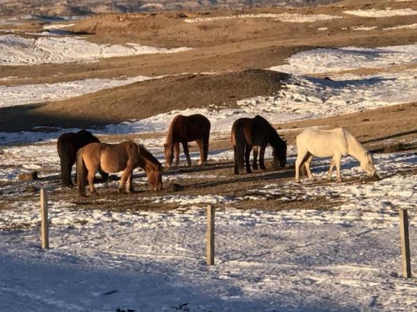 過年國內7個自駕遊景點攻略推薦,體驗不同的風土人情 過年國內7個自駕遊景點攻略推薦,體驗不同的風土人情