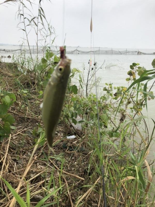 2021垂釣日誌之56,艱辛垂釣路,魚獲足補償 2021垂釣日誌之56,艱辛垂釣路,魚獲足補償