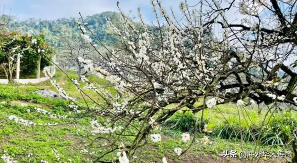 年初越南各大景點人潮湧動，2022年越南旅遊業的樂觀訊號