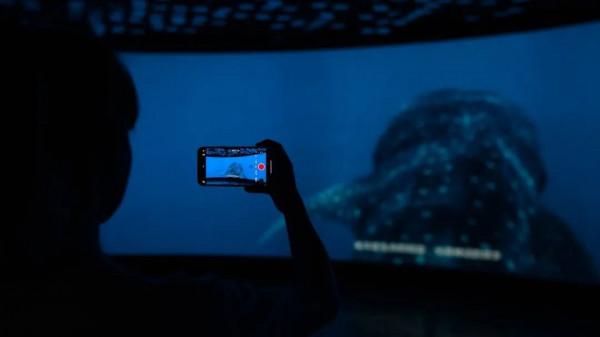 打卡！同濟這個神秘浪漫“基地”火出圈