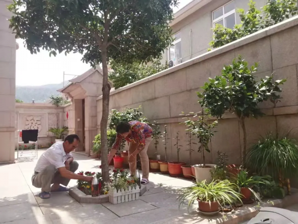 山東:6萬多個村莊建成“美麗庭院”210萬餘戶 山東:6萬多個村莊建成“美麗庭院”210萬餘戶