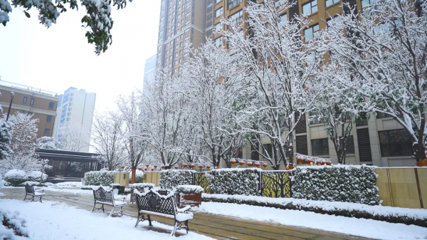 海馬人的朋友圈美爆了！戳進來，看看雪後海馬有多美