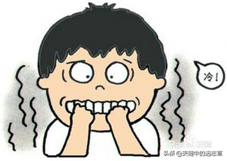 手涼腳涼？送你三味中藥，溫熙四末，讓你在寒冷的冬日，陽氣滿滿