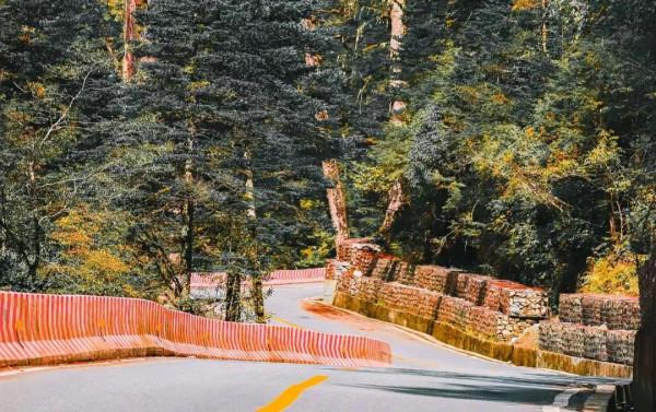 “中國最美公路”榜單揭曉！大名鼎鼎的318川藏線居然沒有上榜？