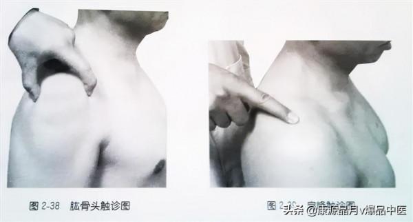 肩部疼痛的觸診圖解（很珍貴資料），值得一看