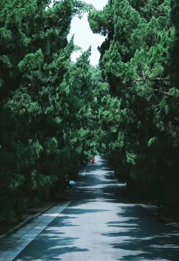 八大關，美了！