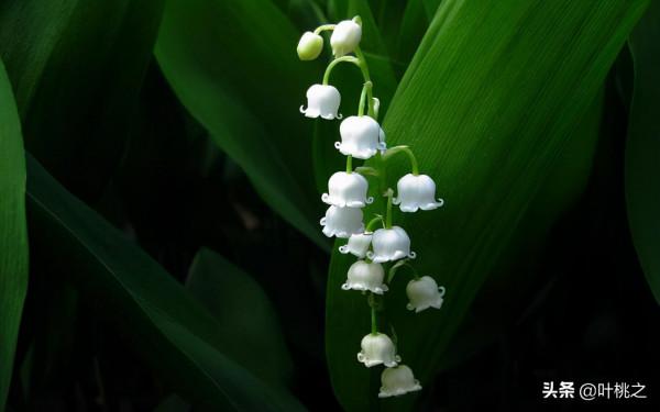 如果你感覺撐不下去了，不妨看看凌晨的朋友圈