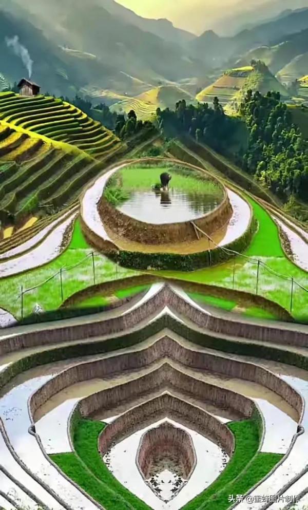 美麗的梯田 美麗的梯田