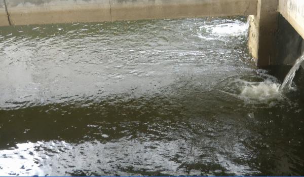 “讓魚兒住進樓房”成為全國首創