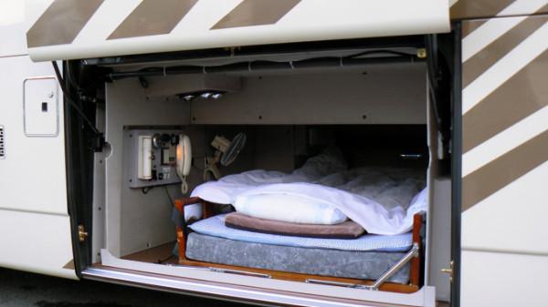 1891歲大樹的年輪，大象推翻汽車，喜鵲騎著白頭鷹，鬣狗飼養員