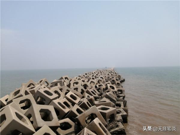 塘沽免費公園值得遊，順其自然地體驗，領略不一樣風景