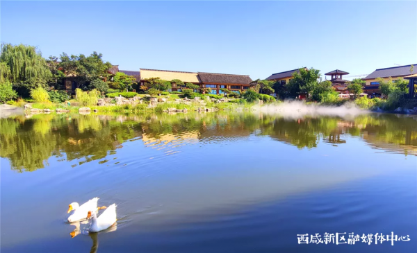 這裡，是西鹹新區！