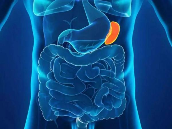 脾胃不適該選用哪種藥物？人參健脾丸和人參歸脾丸需對症下藥