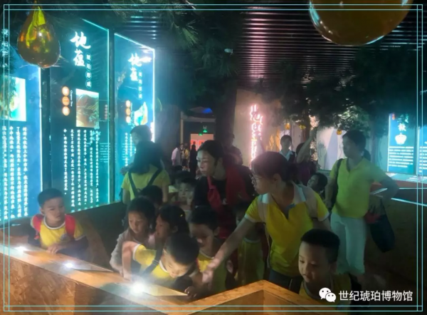 探秘琥珀世界 從幼兒開始 探秘琥珀世界 從幼兒開始