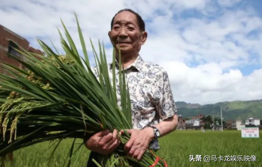 追憶在今年離我們而去的名人:年齡最小25歲,每位都令人惋惜 追憶在今年離我們而去的名人:年齡最小25歲,每位都令人惋惜