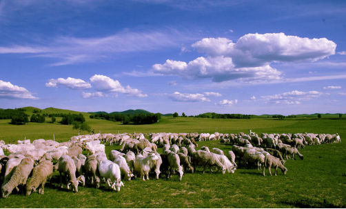 國慶去哪玩？看完這幾個地方，你就知道了（旅遊攻略）