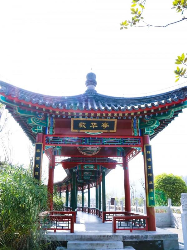 冬日裡的貴州綠博園美翻啦！今天我請客，請賞金輝遍灑、萬頃波光