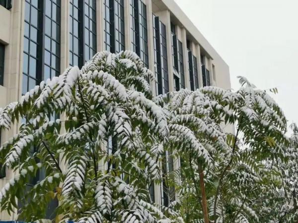 讓人直呼“哇噻”,房山這兩地的雪景大片,你一定得看看 讓人直呼“哇噻”,房山這兩地的雪景大片,你一定得看看