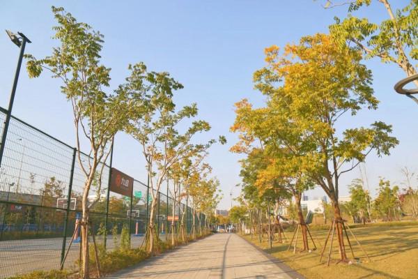 新一波地圖來了~除了北美紅楓和銀杏，普陀還有什麼好看？