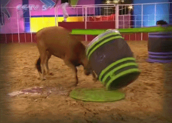 最猛國綜已死，別再懷念