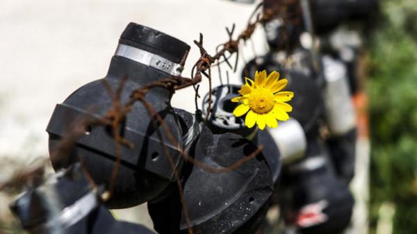 瓦斯罐裡的小花