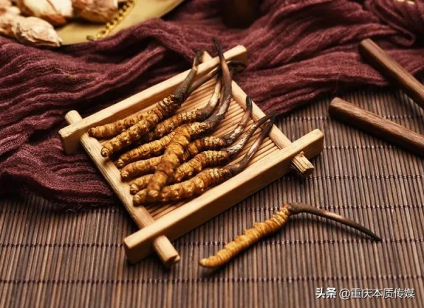 九九重陽節，老年養生有“秘訣”