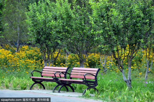 北京週末秋遊好去處，這些體育運動主題公園，人少又免費～