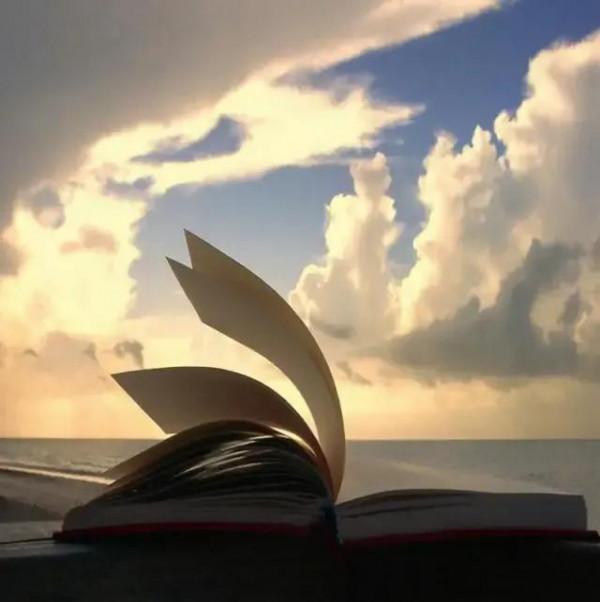 我重要；我值得；我可以