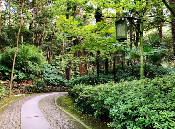 杭州中秋國慶旅遊哪裡好玩？八個旅遊勝地，家庭情侶皆適合