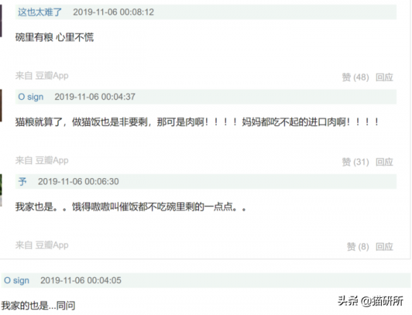 貓咪吃飯為啥總剩一口？是儲存行為嗎？