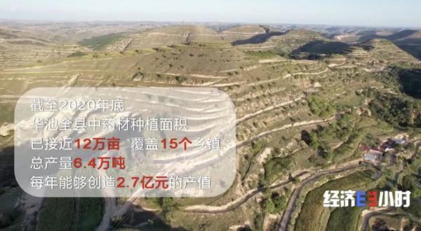 中藥材掀“漲價潮”!價格翻番!返鄉大學生回家“種藥”,年入超40萬元 中藥材掀“漲價潮”!價格翻番!返鄉大學生回家“種藥”,年入超40萬元